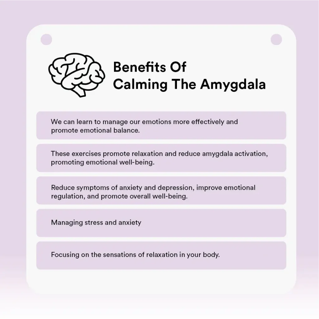 amygdala 