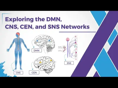 Understanding the Complexities of Your Brain Networks