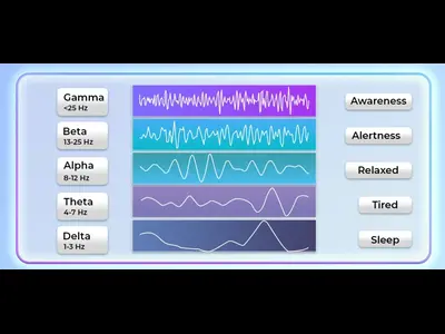 Unlocking the Mysteries of Brainwaves and Brain Lobes
