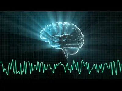 Understanding Brain Waves: Significance, Types, and Impact