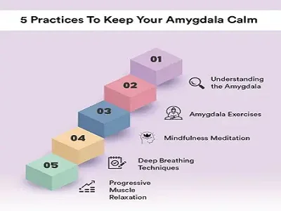 5 Mindful Practices to Keep Your Amygdala Calm, Anxiety-Free, and Healthy!