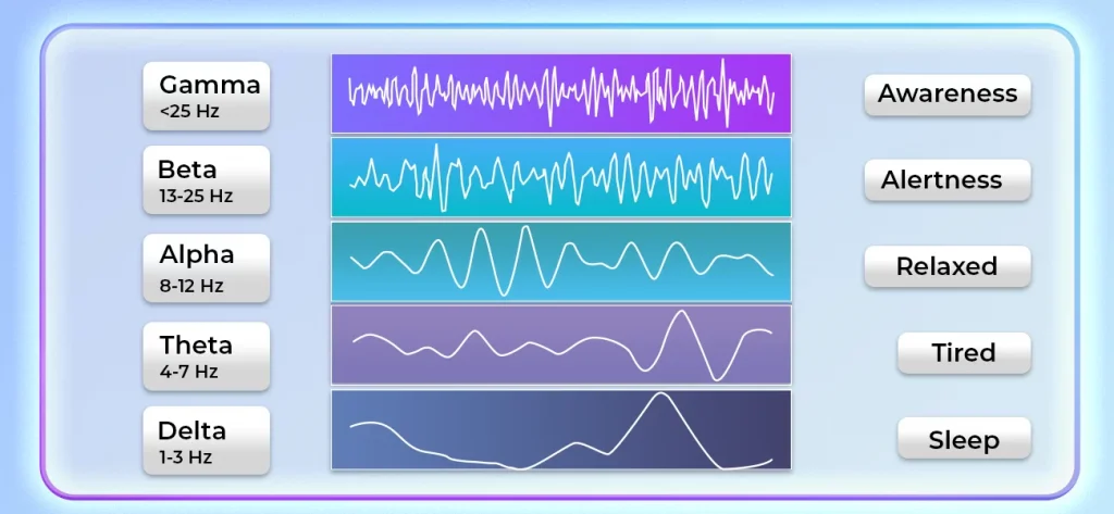 Read more about the article How to read EEG brain waves?​