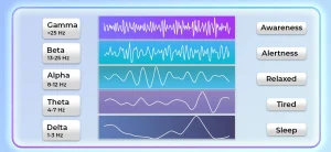 How to read EEG brain waves?​