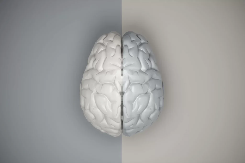 Read more about the article Brain Gray Matter V/s White Matter – Understand Your Brain Better