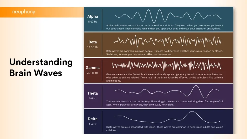 Read more about the article The Role of Theta, Alpha, Beta, Gamma, and Delta Waves in Brain Function and Neurological Research!