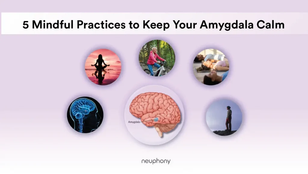 Read more about the article 5 mindful practices to keep your amygdala calm, anxiety-free, and healthy!